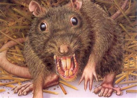 beachcombing   telepathic rat beachcombings bizarre history blog
