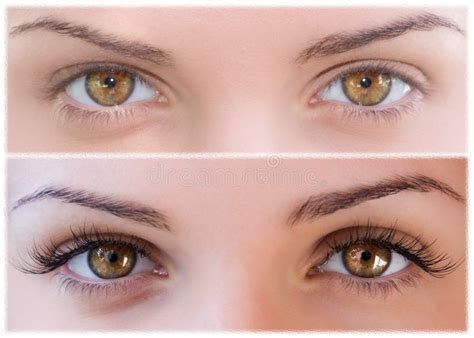 Beauty Female Eye with Curl Long False Eyelashes Stock Image - Image of ...