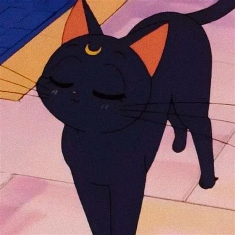 luna cat icon artofit