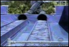 Water Slide Fail GIF - Find & Share on GIPHY