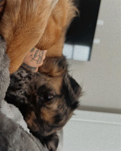 𝐤𝐞𝐥𝐬♡ | life’s been cool 😌 | Instagram