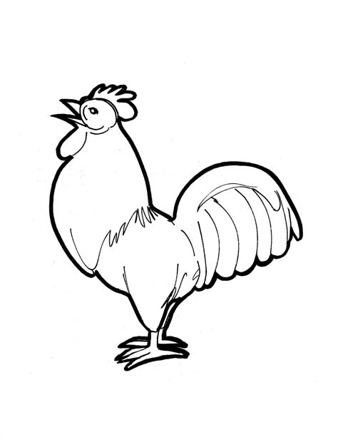 easy rooster drawing 3
