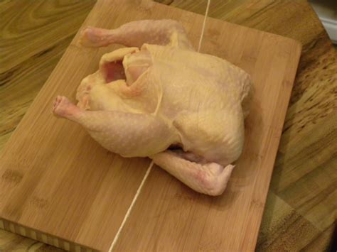 FOOD DOMINATION: CHICKEN! HOW TO TRUSS AND FABRICATE A BIRD