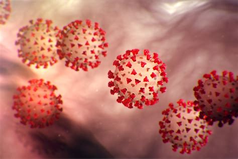 Coronaviruses (COVID-19) – NFID