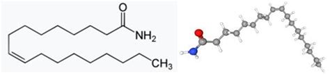 Applications of Oleamide_Chemicalbook