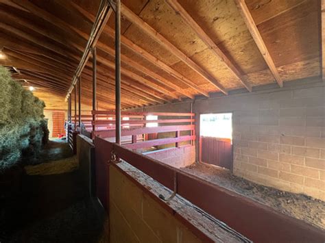 Overnight Stalled Horse Boarding | Ole Maverick