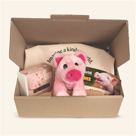 pigs pack animals australia