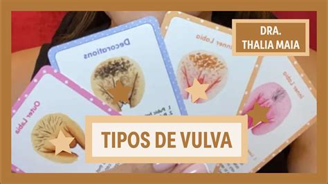 Tipos De Pepeca - Conheça os tipos de Vulva | Dra. Thalia Maia | Grupo Elas - YouTube