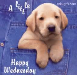 Happy Wednesday Puppy GIF - Happy Wednesday Puppy A Little Wish ...