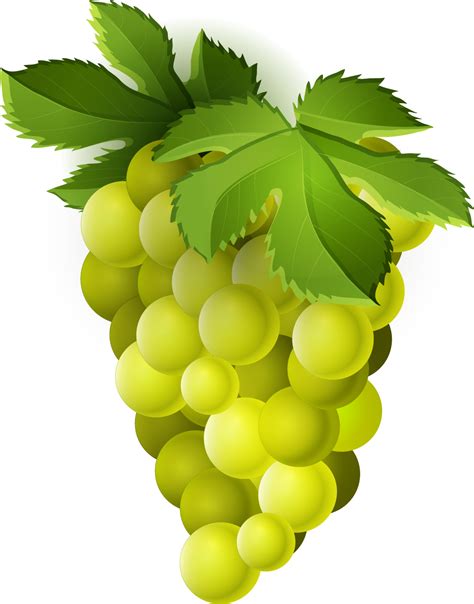 organic green grapes natural produce sweet flavor juicy fruit