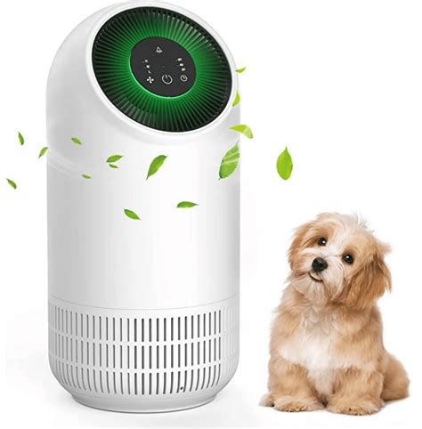 Will An Air Purifier Help With Dog Hair