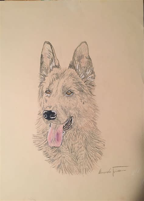 German Shepherd Dog Tattoo