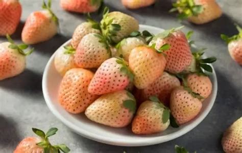 What Do Pineberries Taste Like? Reveal the Flavor 2025