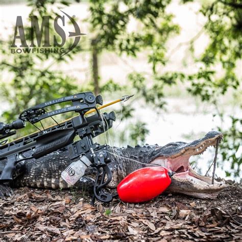 ams bowfishing big game crossbow kit rh crossbow  included ebay