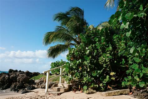 Chloe In Naturally Nude For Hegre Art At Thenude Com | My XXX Hot Girl