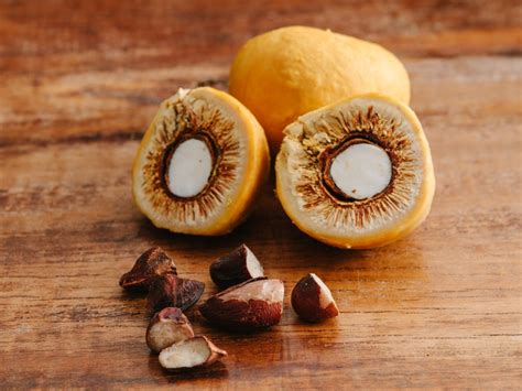 Qual Fruta Que O Caroço Fica De Fora - Frutas Que Tem Caroço - RETOEDU