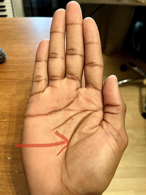 @ 6 months : r/MuscleTwitch