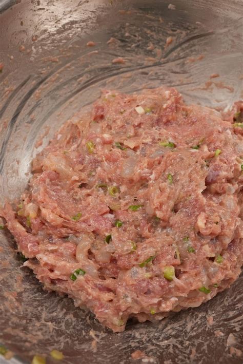 pork wonton recipes 7