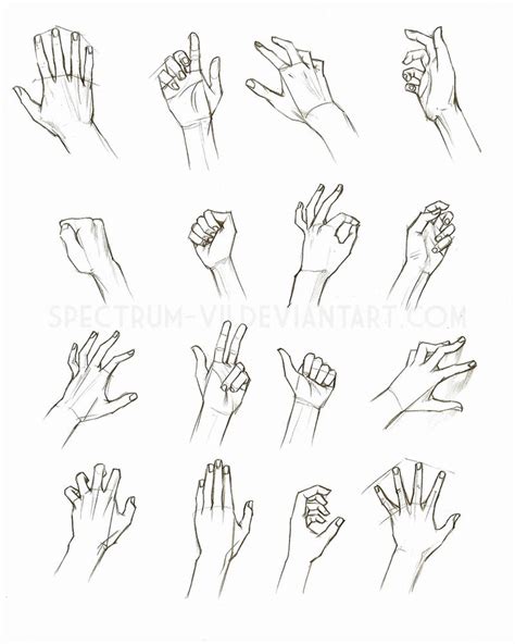 Anatomical Study: Hands by Spectrum-VII on DeviantArt