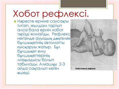 Баланың жүйке жүйесінің ерекшеліктері. Туа біткен автоматизм ...