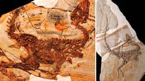 Two brand new species of dinosaur discovered in 125,000,000 year old fossil