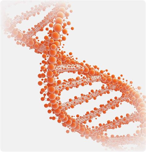 Labela – Get Paid to Train Medical AI. Join the Experts Behind the Future