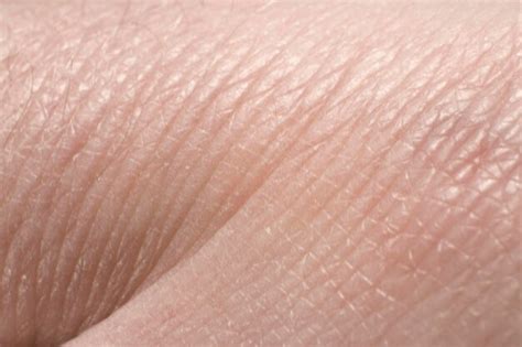 Premium Photo | Human skin detail