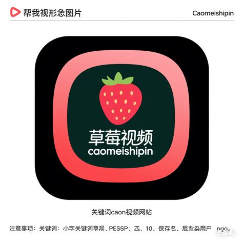 探索视频新世界：www.madou.tv 全新体验