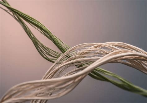 What Are Bio-Based Synthetic Fibers and Are They a Sustainable