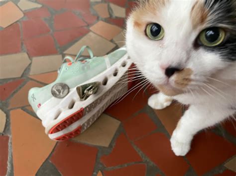 How Much Does Doctors of Running Make?: Report #4 - DOCTORS OF RUNNING