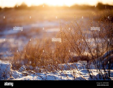 chilly weather  res stock photography  images alamy