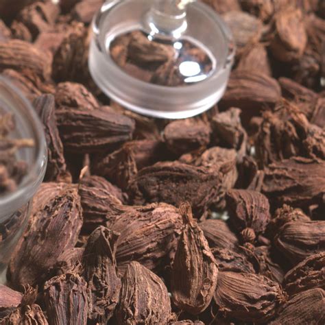 SBS LAXMI – LARGE CARDAMOM