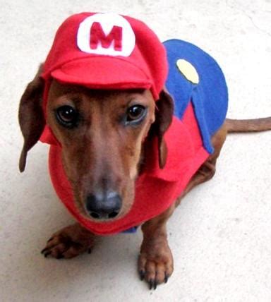 Funny Super Mario Dog Costume Comforts Your Puppy