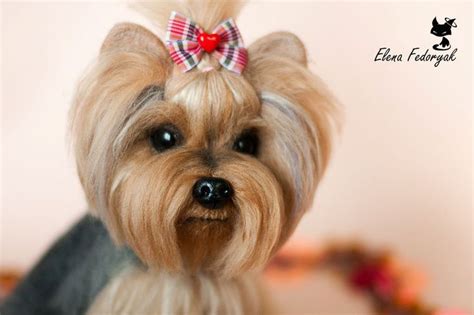Needle Felted Toy Yorkshire Terrier