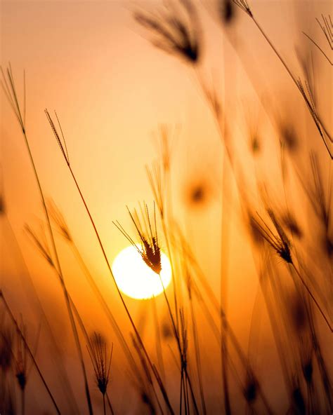 The Meaning of Radiant Hope - Radiant Hope Biblical Counseling