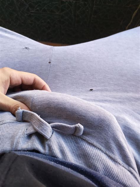 Bite my cock through my pants : r/CockOutline