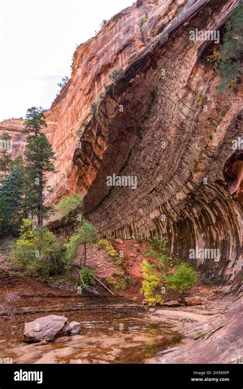 hiking  left fork trail   subway gorge zion national park usa