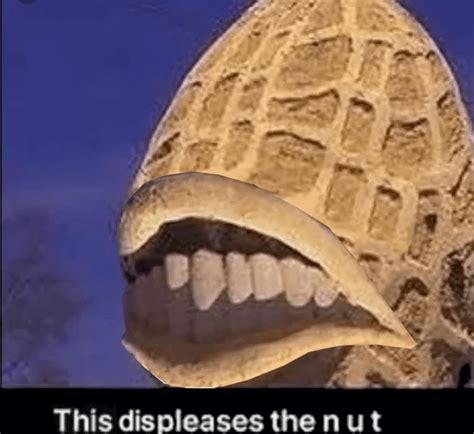 photoshops    pleases  nut meme