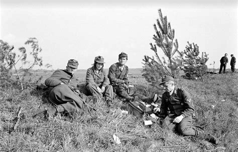 Surrender and the end of the war. - TR PHOTOS & EPHEMERA - World ...