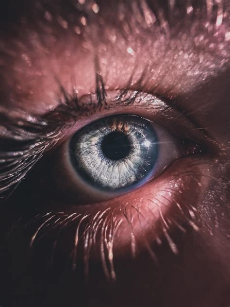 1202 best Macro Lens images on Pholder | Macro Porn, I Phoneography and