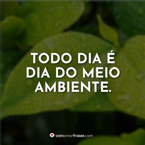 Frase Dia Do Meio Ambiente