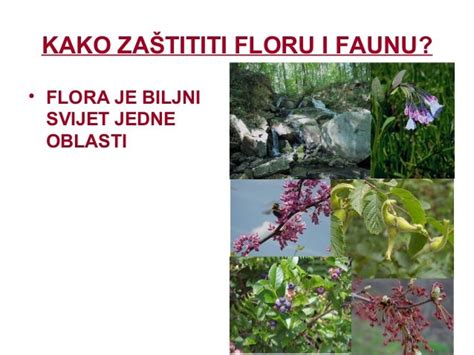 Biodiverzitet i njegova zastita