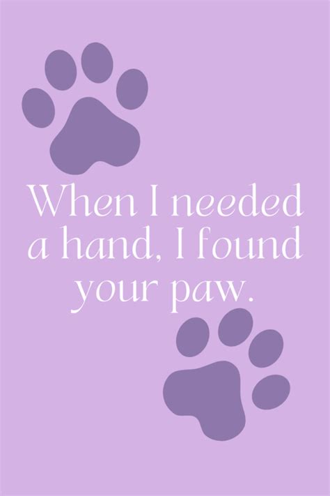 Funny National Dog Day Quotes for Your Four-Legged BFF - Darling Quote