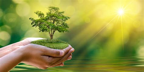 7 Ways You Can “Go Green’ in Your Home to Save the Environment
