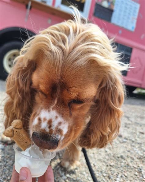 Residents are discussing the latest fairbanks daily newsminer scoop 1