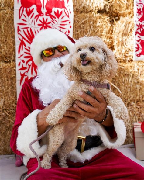 Location — Flora Farms