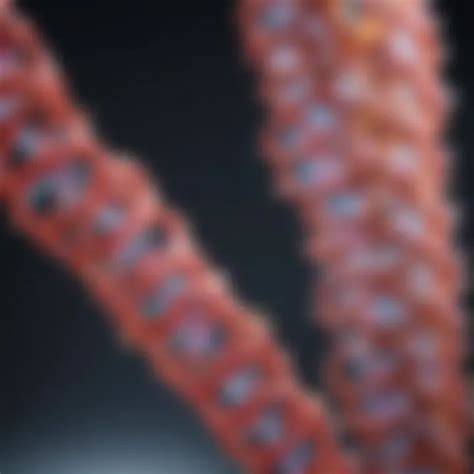 understanding trna  codon interaction  protein synthesis