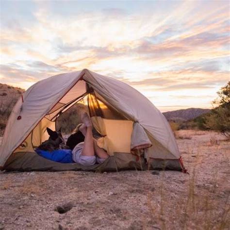 Desert Oasis Camping, Sand To Snow Desert Oasis Camp, CA: 4 Hipcamper Reviews And 25 Photos