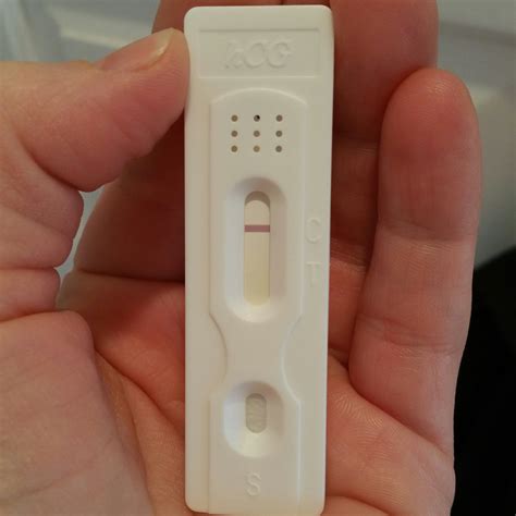Do Dollar Tree Pregnancy Tests Have Evap Lines at Holly Standley blog