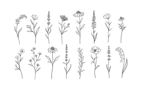 how to draw a wildflower